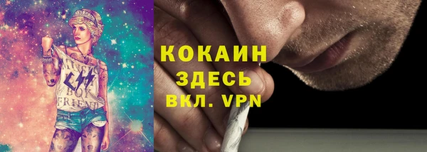 тгк Лиски
