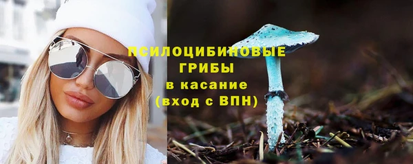 дживик Ладушкин