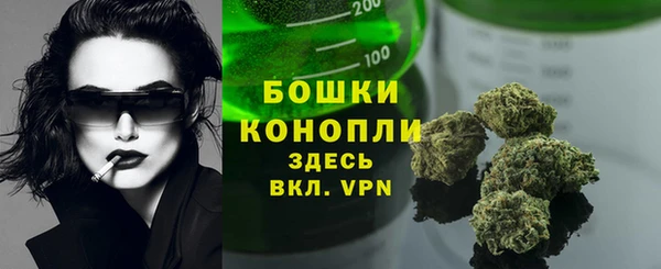 дживик Ладушкин