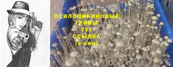 герыч Лагань